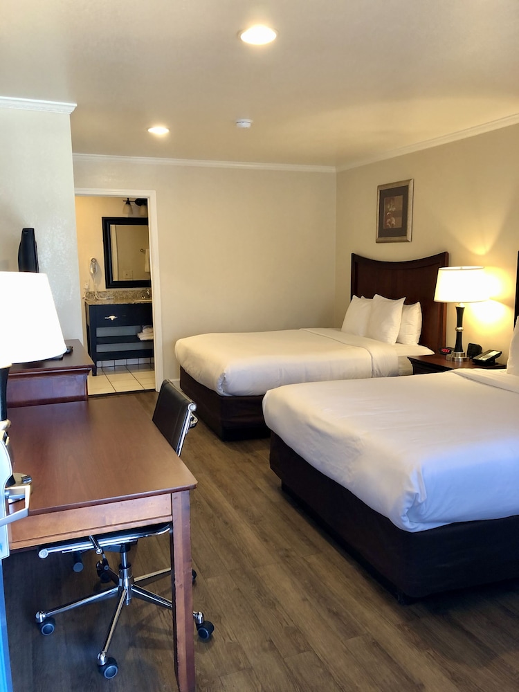 Blu Pacific Hotel - photo 22