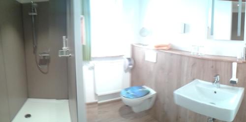 Wein Und Gasthof Zipf in Miltenberg, Germany