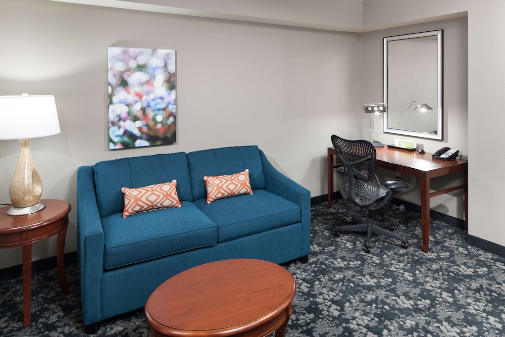 Hilton Garden Inn Frisco - photo 9
