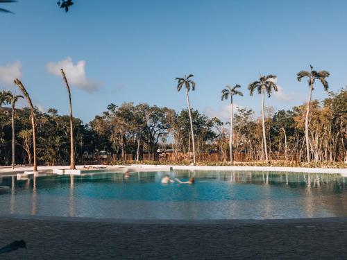 Aflora Managed by Elite Alliance — Tulum — photo 5