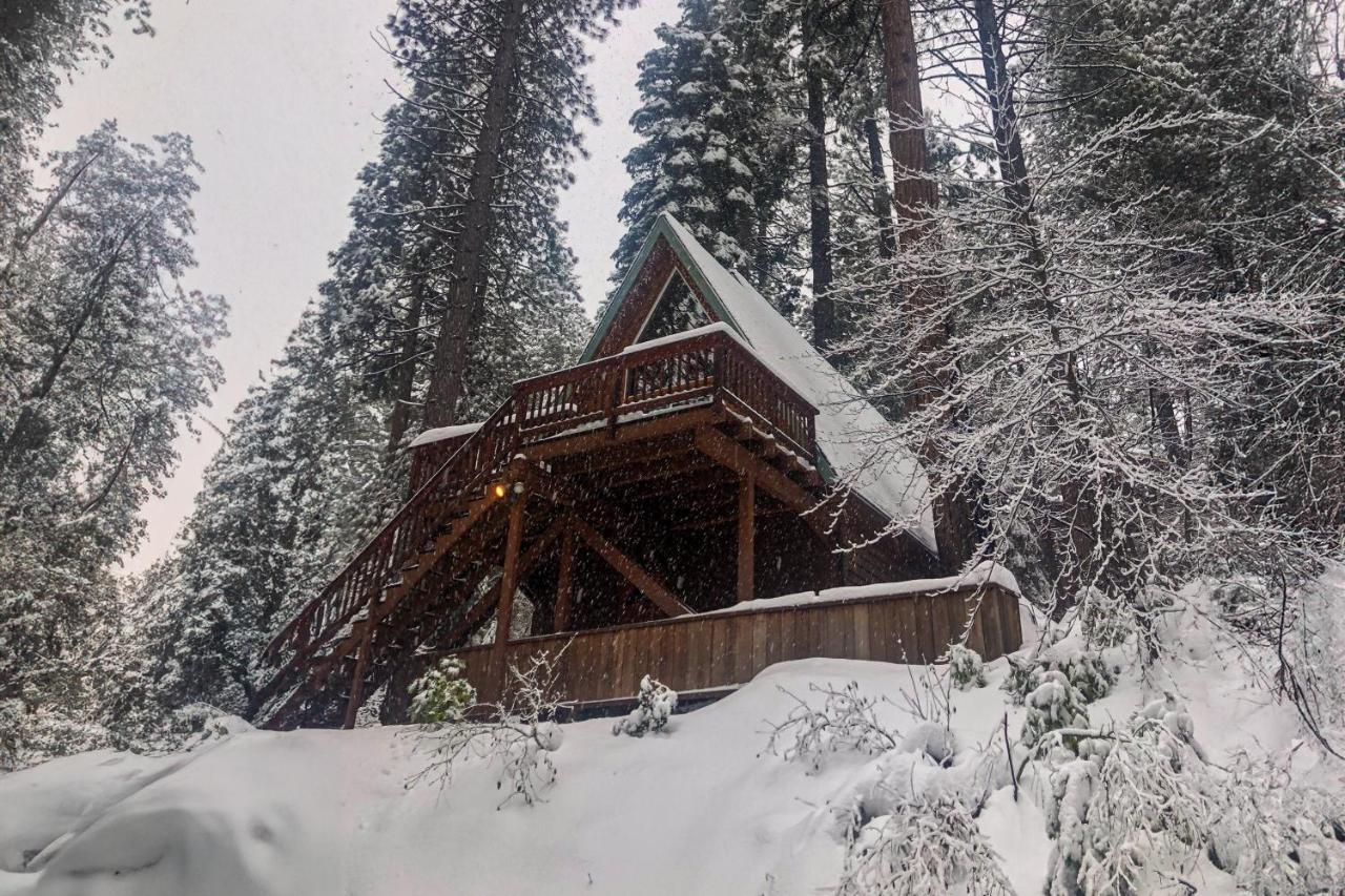 Peaceful Pine Getaway in Arnold, United States