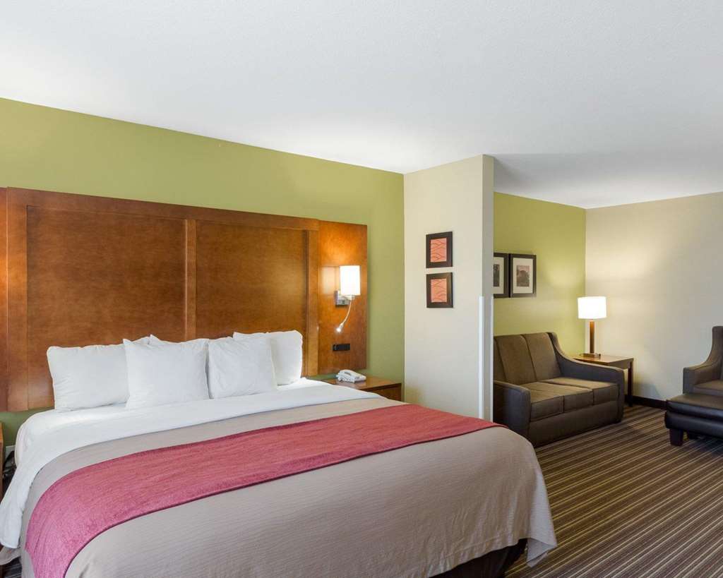 Comfort Inn & Suites Fayetteville University Area - photo 10