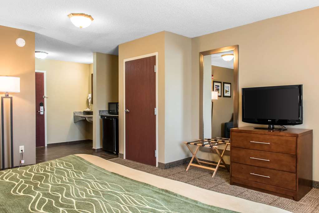 Comfort Inn Columbia Lancaster - photo 14