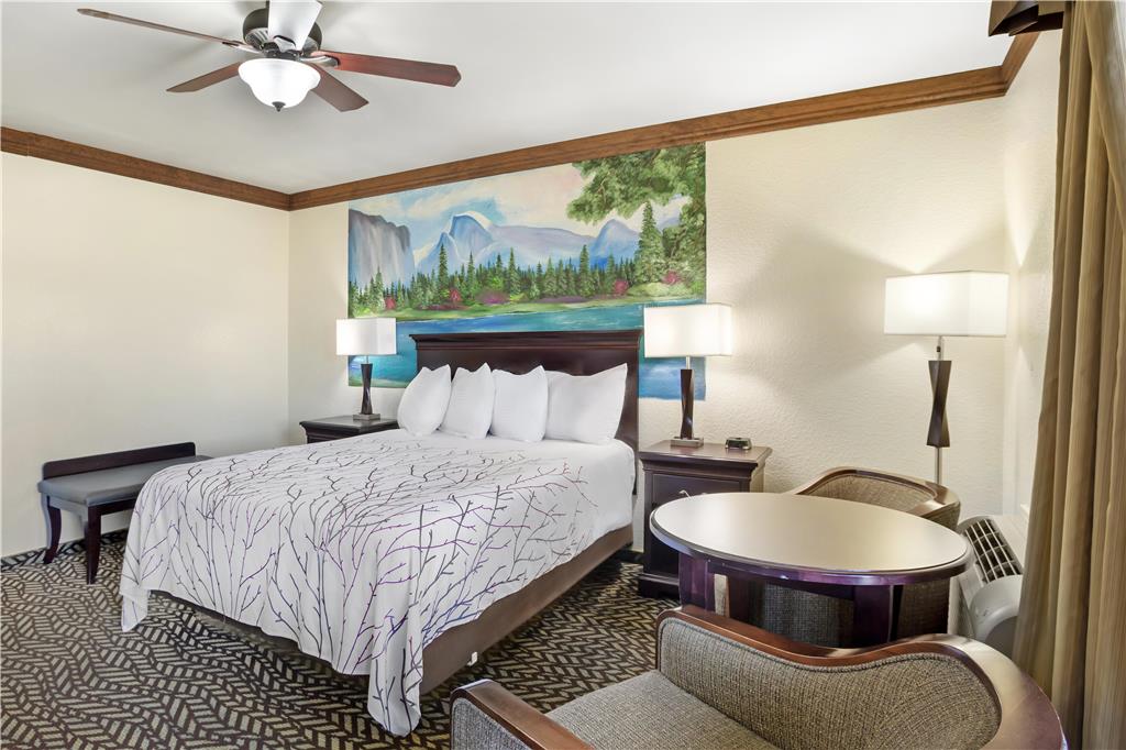 Best Western Plus Yosemite Gateway Inn - photo 29