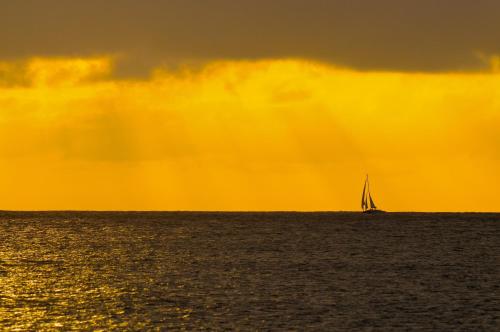 Kalani Hawaii Private Lodging - photo 94