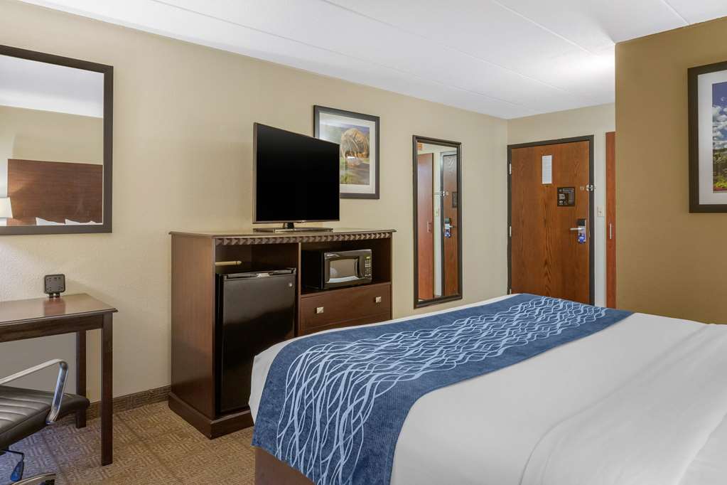 Comfort Inn Grand Rapids Airport - photo 23