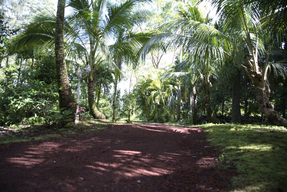 Enchanted Gardens - photo 25
