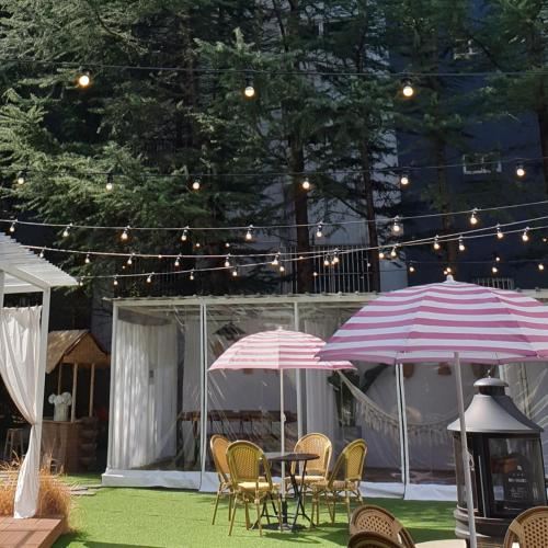 Gout Stay in Daegu, South Korea