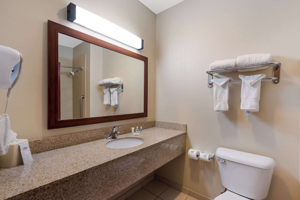 Comfort Inn & Suites Las Vegas Nellis - photo 22