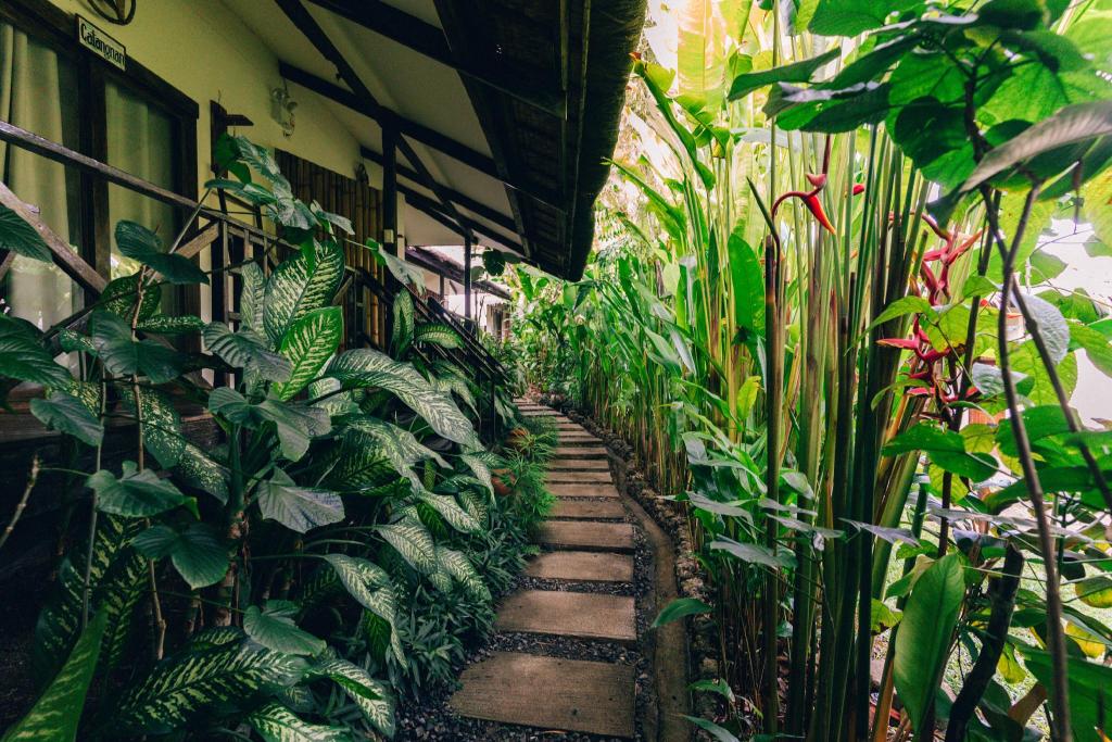 Himaya in General Luna, Philippines