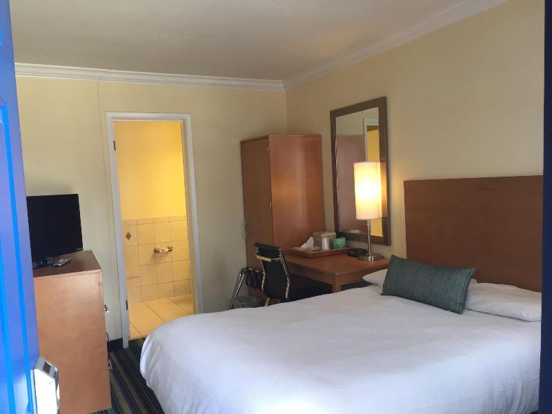 Surf Motel - photo 22