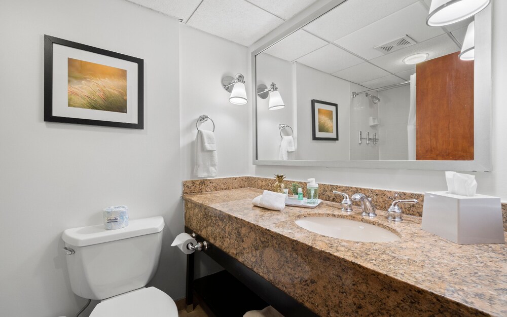 Four Points by Sheraton Charlotte - photo 33