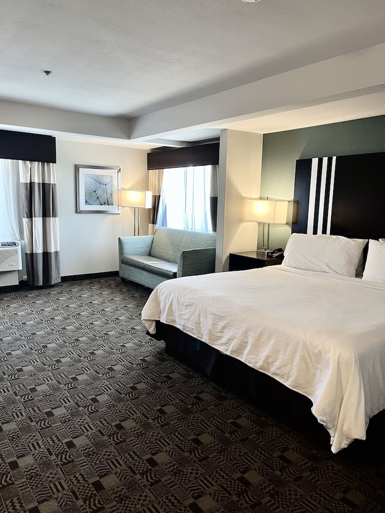 Holiday Inn Express Hotel & Suites Carlsbad Beach by IHG - photo 6