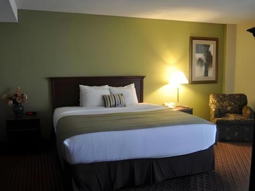 Garden Plaza Hotel - photo 16