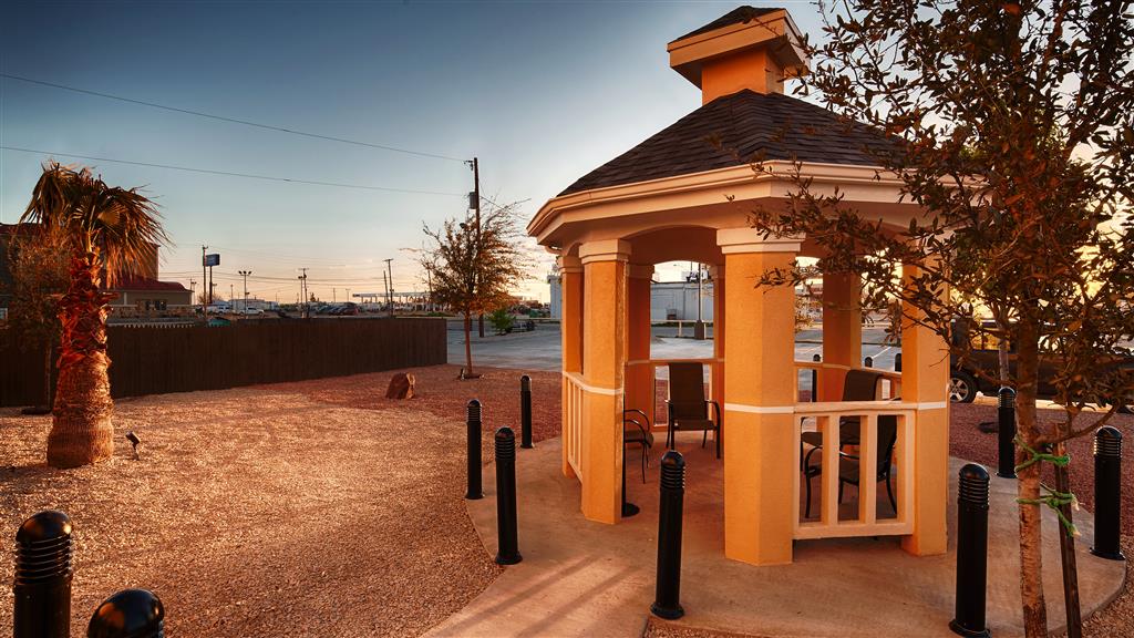 Best Western Plus Monahans Inn & Suites - photo 15
