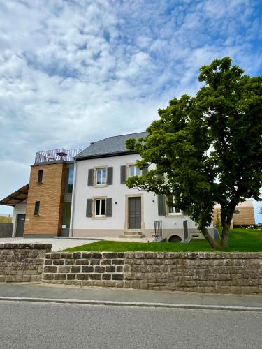 Calmus - carbon neutral hotel in Unknown City