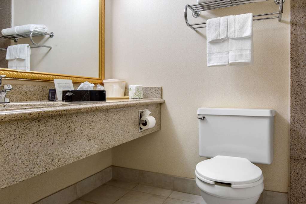 Quality Inn Ledgewood Dover - photo 19