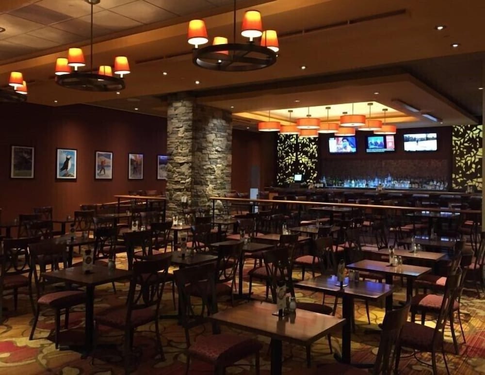 Oxford Casino Hotel - photo 13