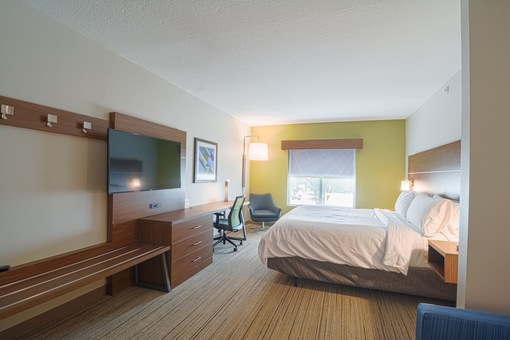 Holiday Inn Express & Suites Tampa USF Busch Gardens by IHG - photo 7