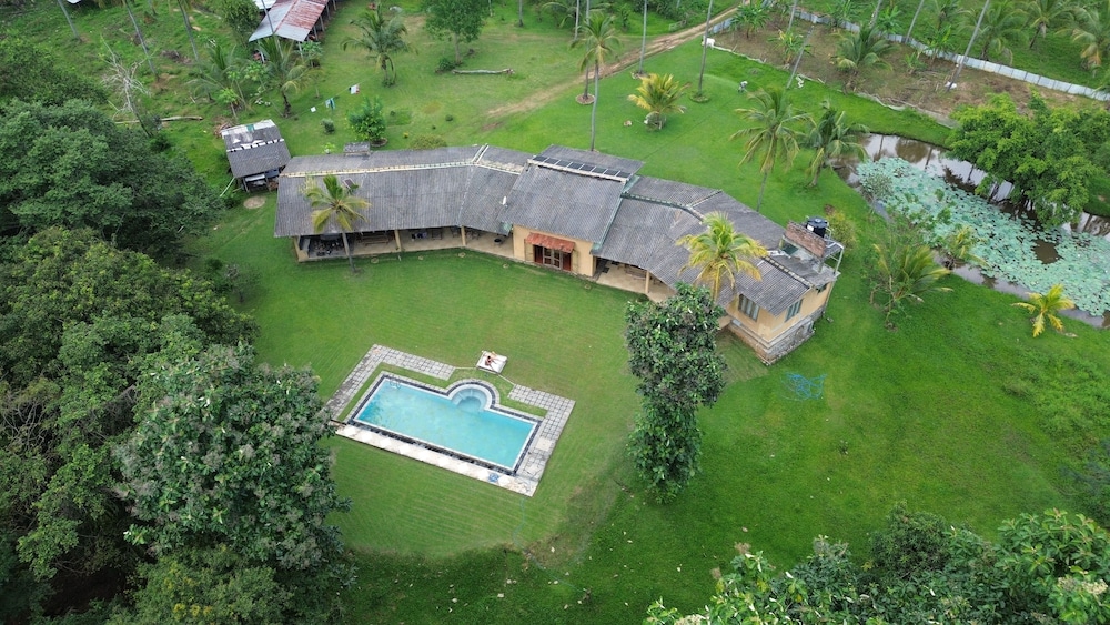 Rivendell Twisted Tree in Kurunegala, Sri Lanka