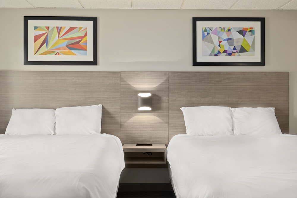 The Elmwood - photo 11