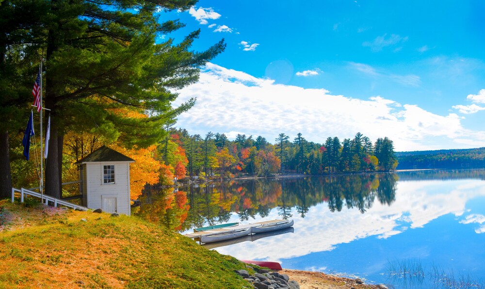 Wolf Cove Inn - photo 81