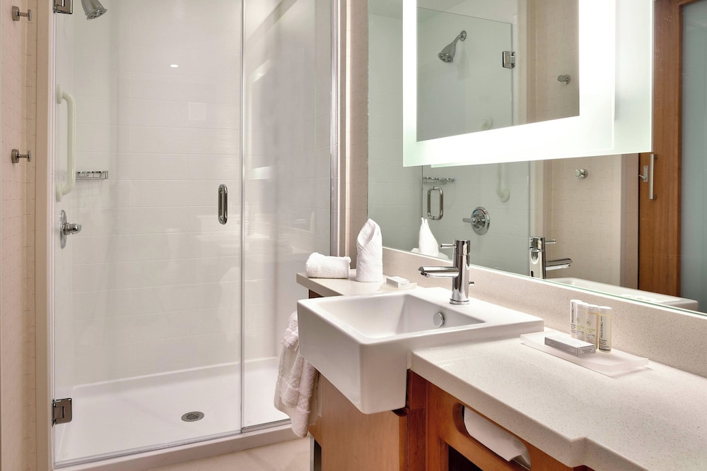Springhill Suites Houston I 45 North - photo 9