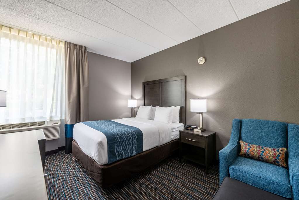 Comfort Inn Chicago Schaumburg O'Hare Airport - photo 6
