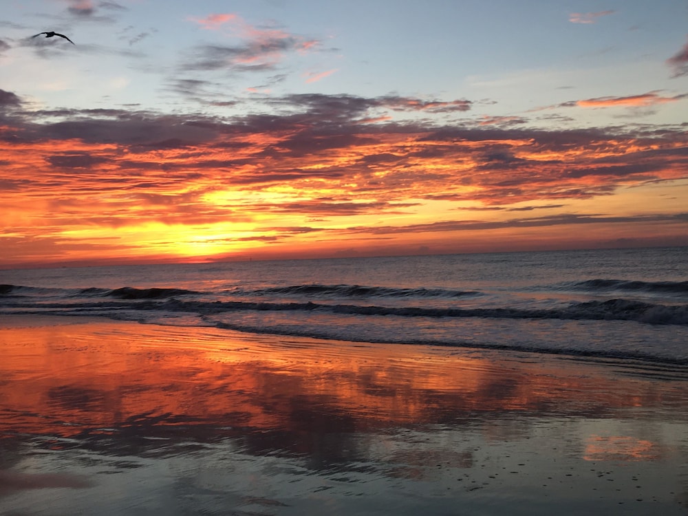Hotel Tybee - photo 40