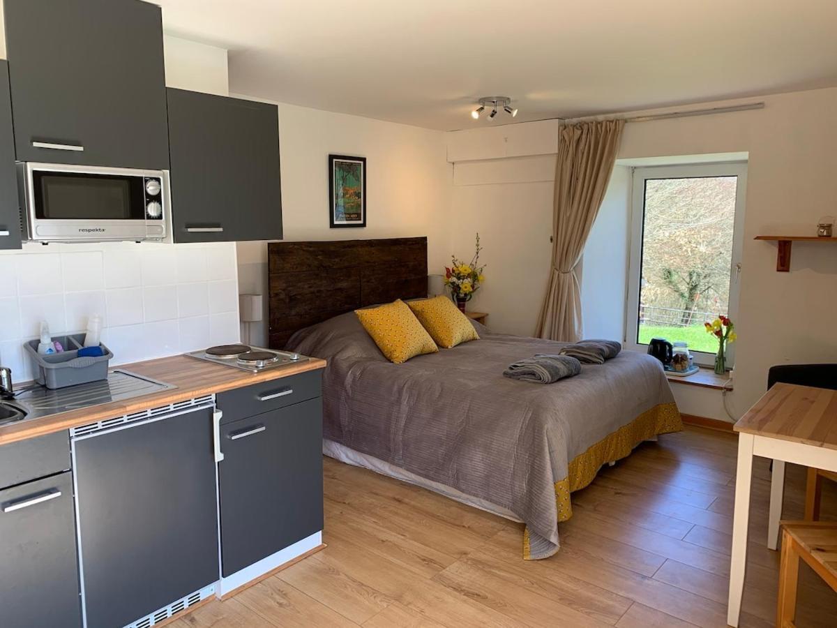 Secluded And Self Contained Room with a View — hotel in Chepstow
