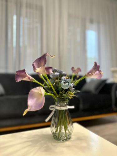 Aparthotel Kutaisi