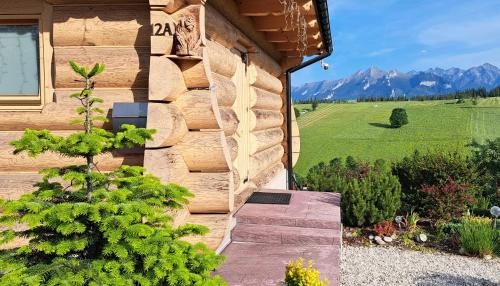 Domki Goralskie Dwa Misie in Bukowina Tatrzanska, Poland