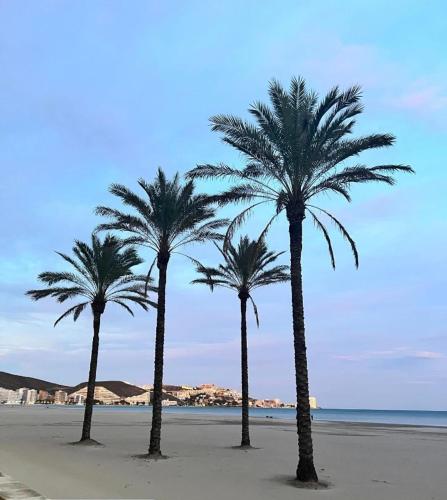 A 50 m de la plage — Cullera — photo 2