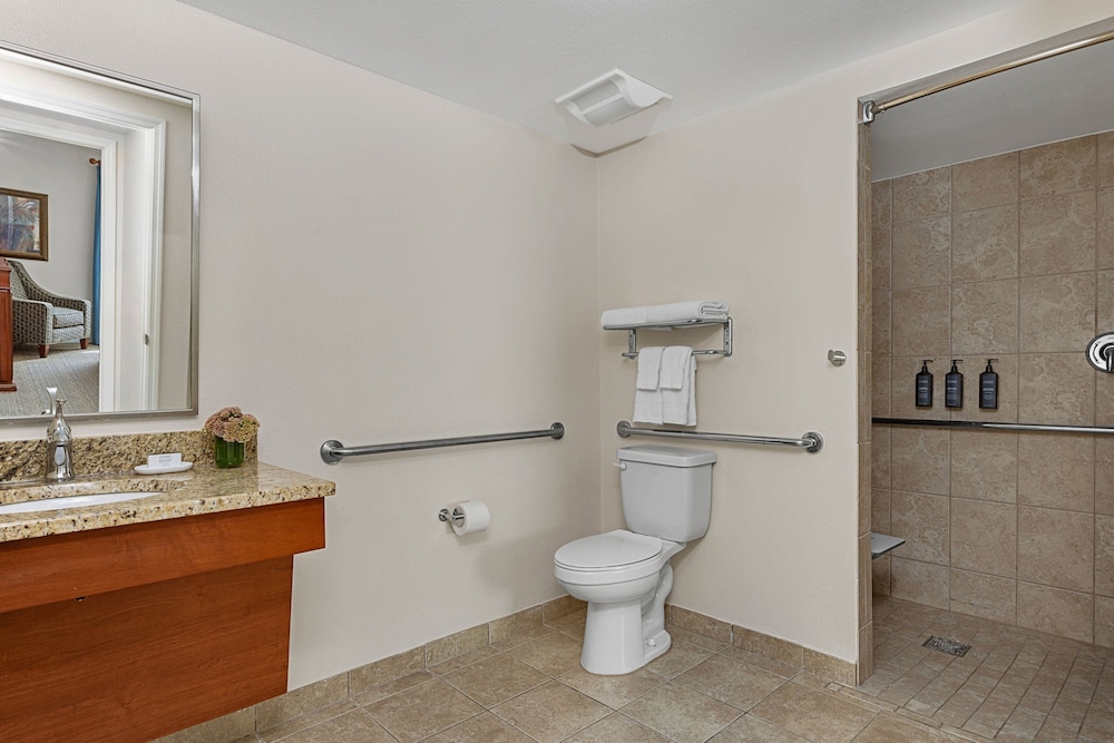 Sheraton Vistana Resort Villas Lake Buena Vista Orlando - photo 58