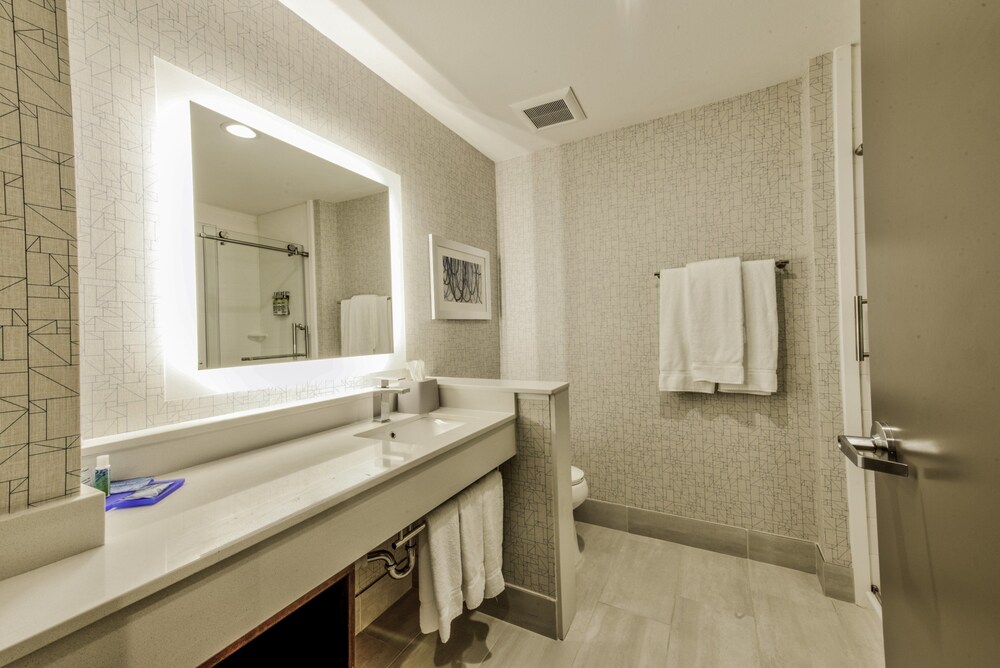 Holiday Inn Express & Suites Dallas NW Farmers Branch by IHG - photo 22