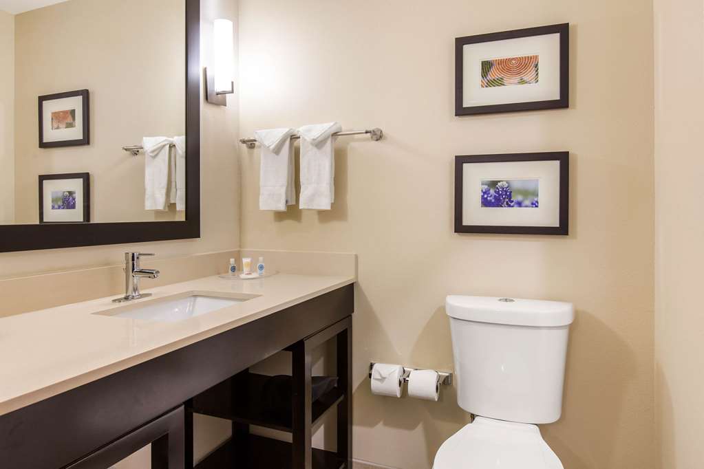 Comfort Suites South Austin - photo 24