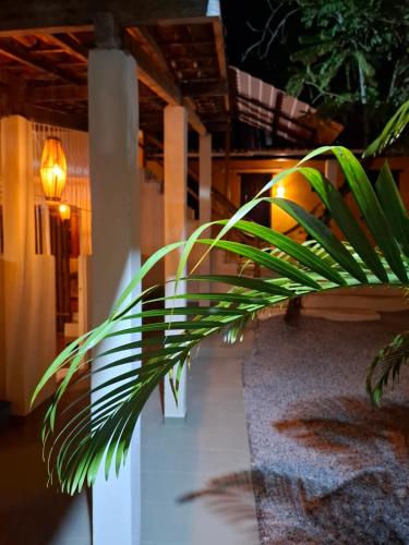 Pousada Biribiri Arraial D'ajuda À 10 metros da Rua Mucugê - carbon neutral hotel in Unknown City