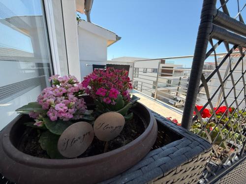 Apartments SÍ — 4-Star Luxury Hotel in Vodice, Croatia