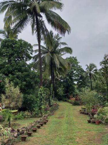 The Enchanting Nest — Madgaon — photo 3