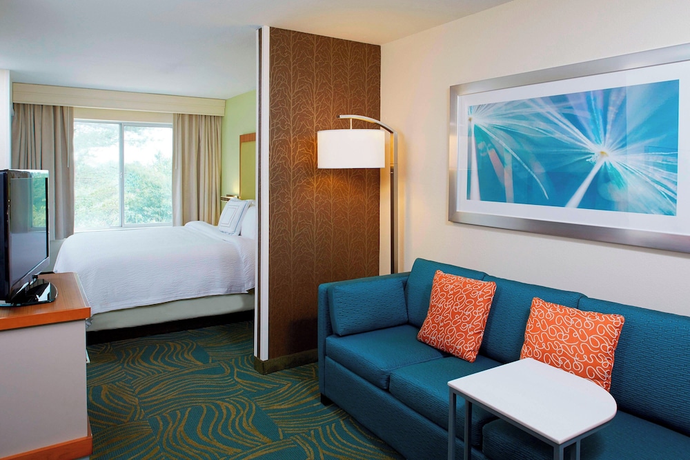 Springhill Suites By Marriott Atlanta Six Flags - photo 7