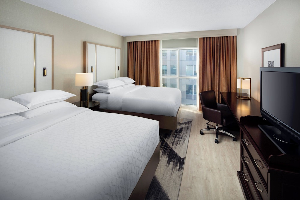 Sheraton Raleigh Hotel - photo 11