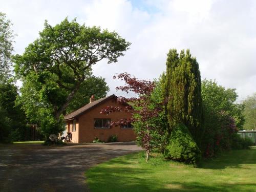 Broncoedwig in Aberystwyth, United Kingdom
