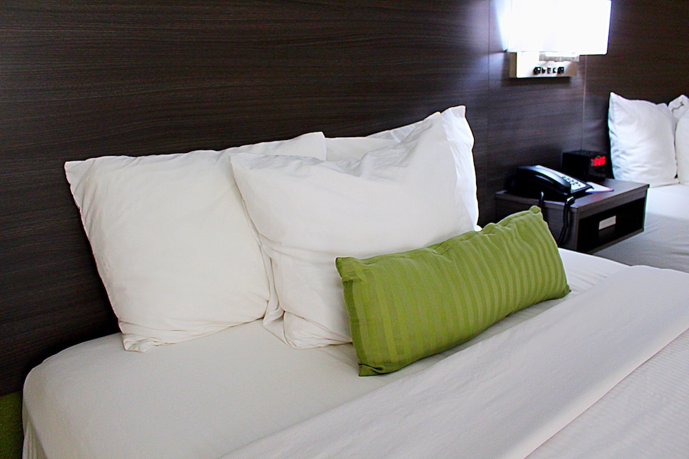 Baymont by Wyndham Springfield - photo 5