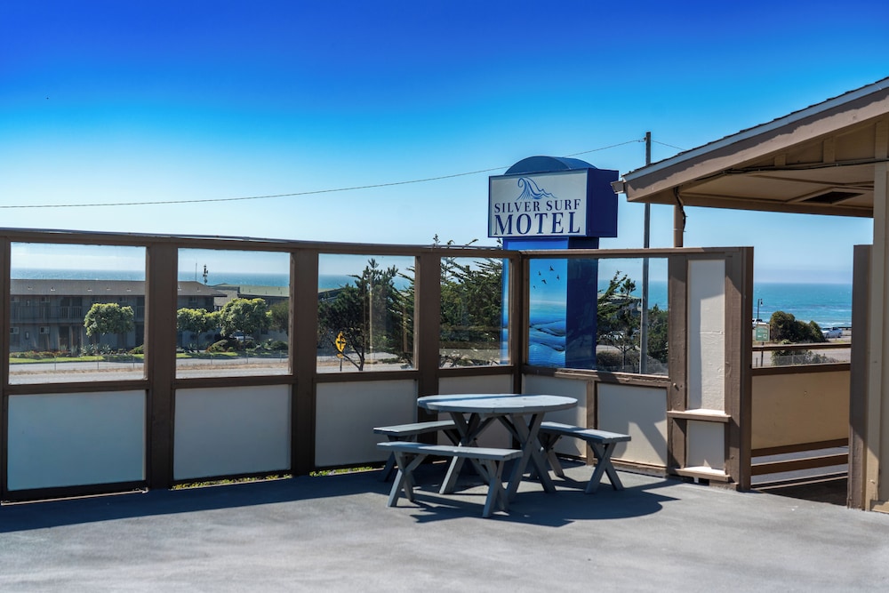 Silver Surf Motel - photo 35