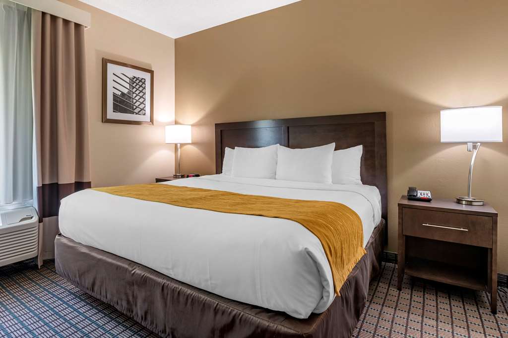 Comfort Inn & Suites Cincinnati Uptown Clifton - photo 18