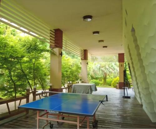 Dreamland Oasis apartment Chakvi