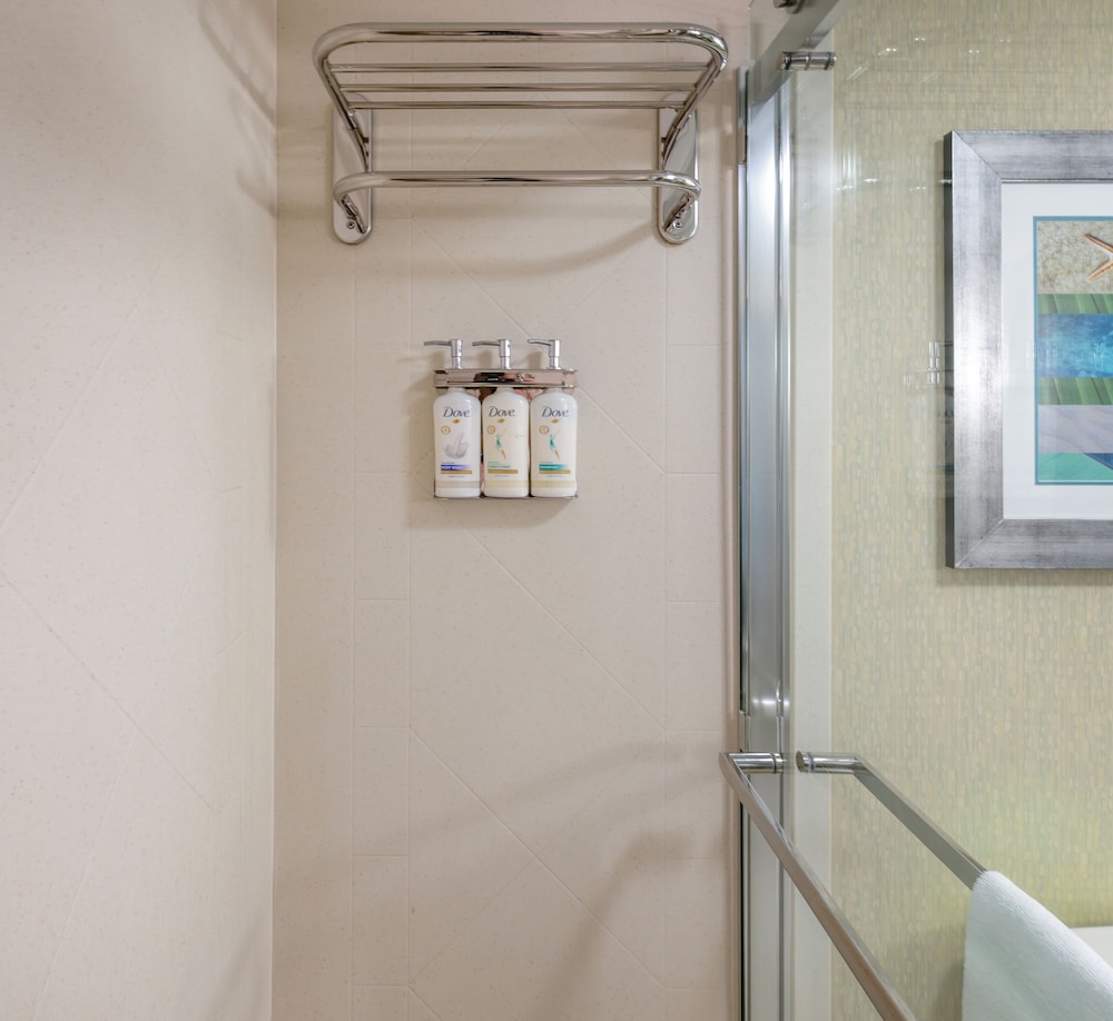 Holiday Inn & Suites Virginia Beach North Beach by IHG - photo 41