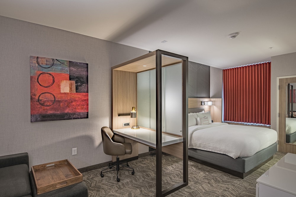 SpringHill Suites by Marriott Dallas Central Expressway - photo 19
