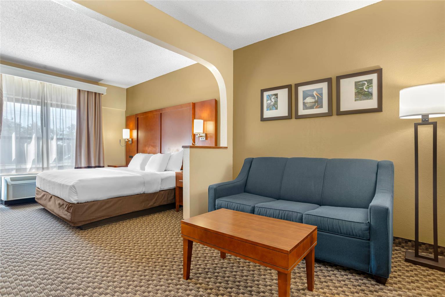 Comfort Suites Tallahassee Capitol University Area - photo 23