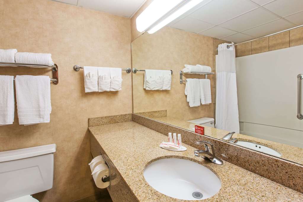 Ramada by Wyndham Sioux Falls Airport Waterpark & Event Ctr - photo 20